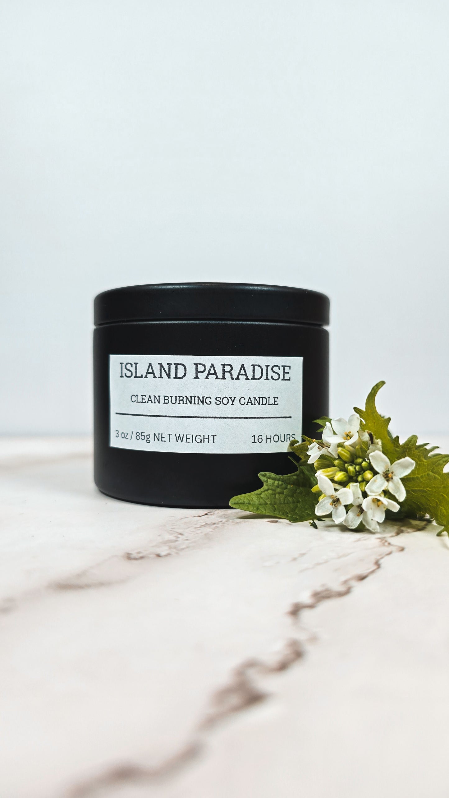 Island Paradise | Small Batch Non-Toxic Soy Candle