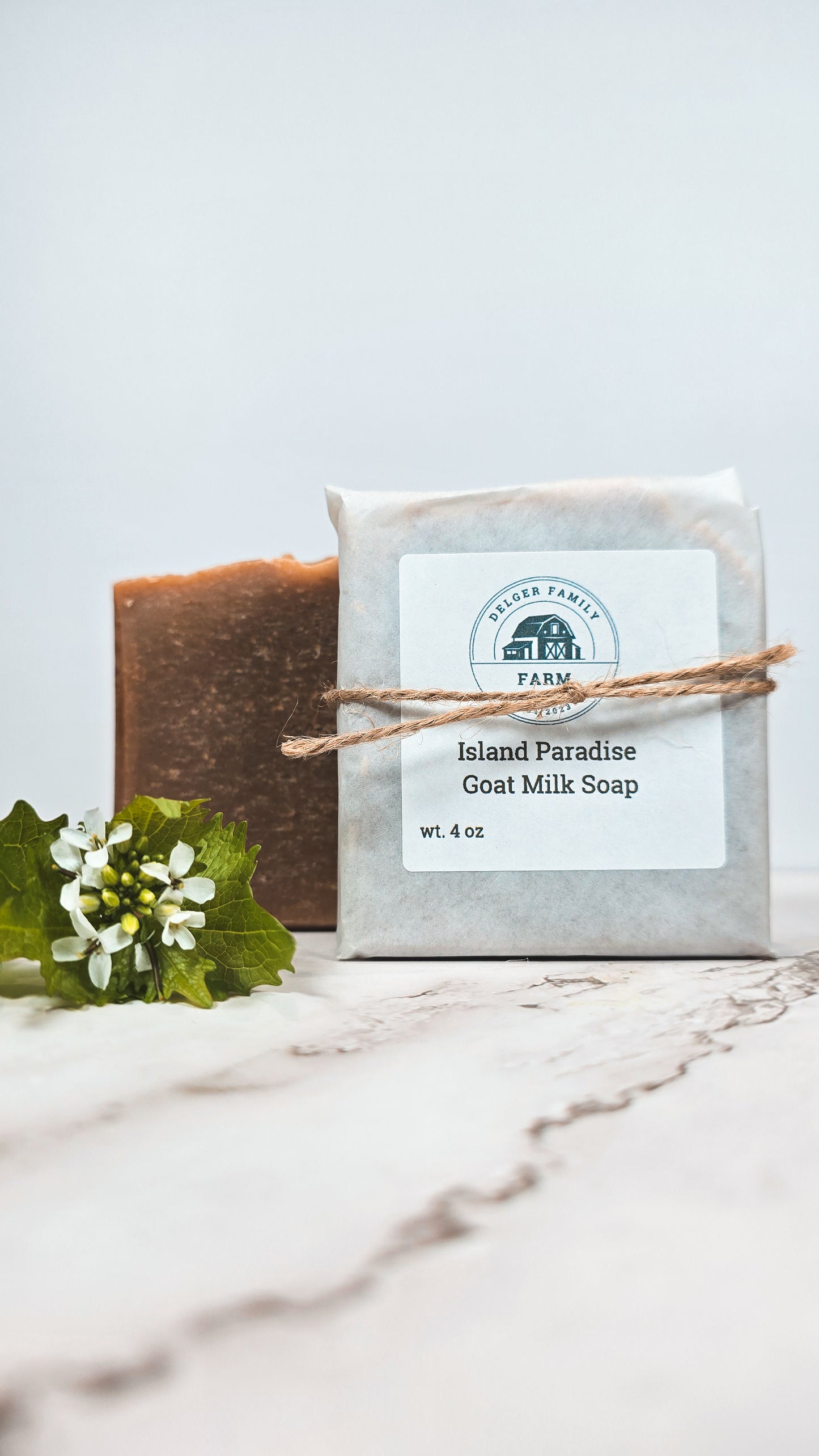 Island Paradise | Artisan Goat Milk Soap
