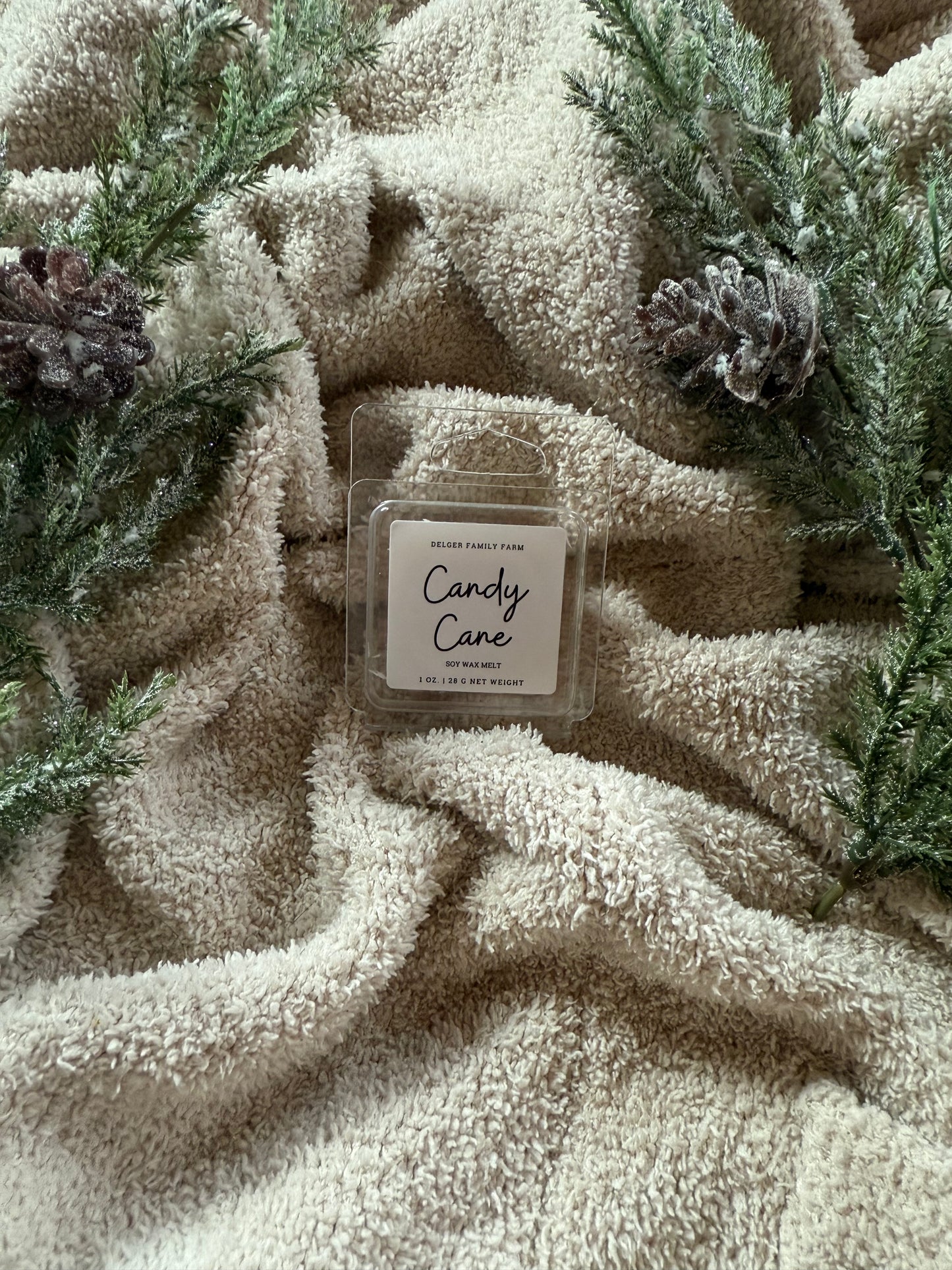 Candy Cane wax melt packaging on a textured beige surface with greenery