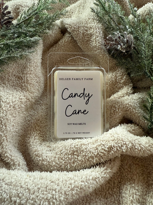 Candy Cane soy wax melts packaging on a textured beige surface with greenery
