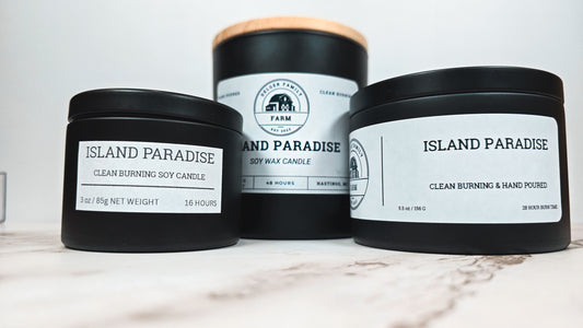 Island Paradise | Small Batch Non-Toxic Soy Candle