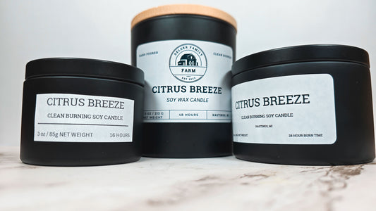 Citrus Breeze | Small Batch Non-Toxic Soy Candle