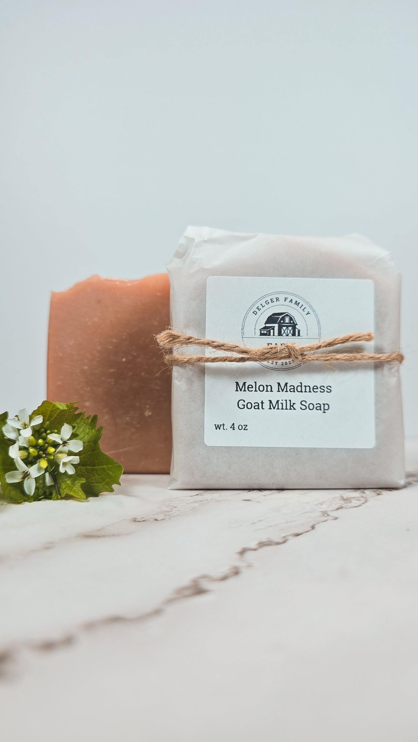 Melon Madness | Artisan Goat Milk Soap