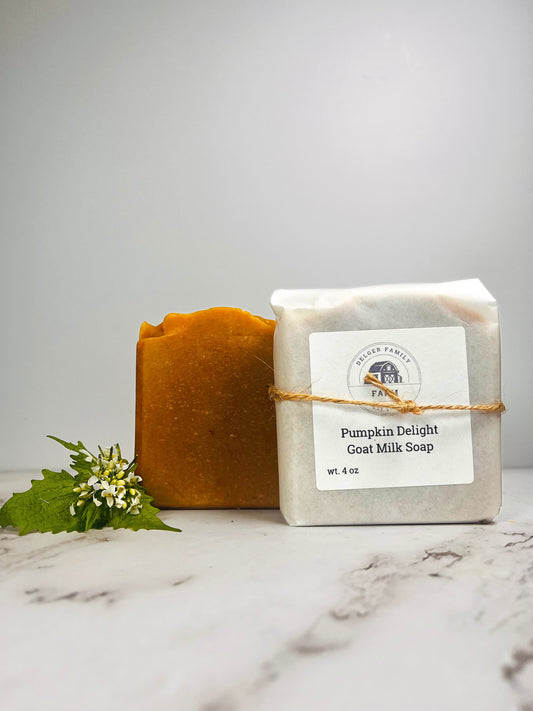 Pumpkin Delight | Artisan Goat Milk Soap