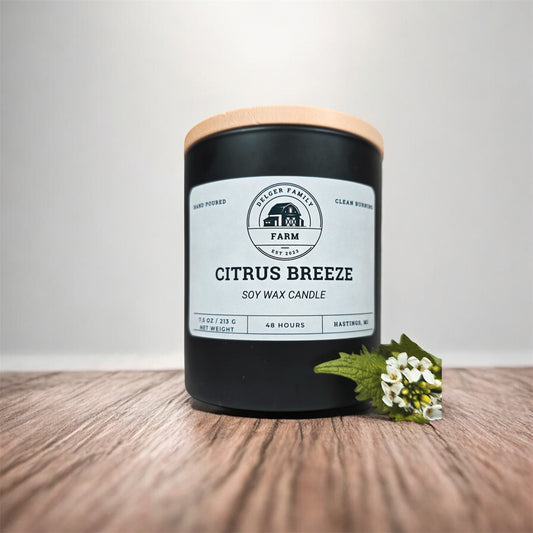 Citrus Breeze | Small Batch Non-Toxic Soy Candle