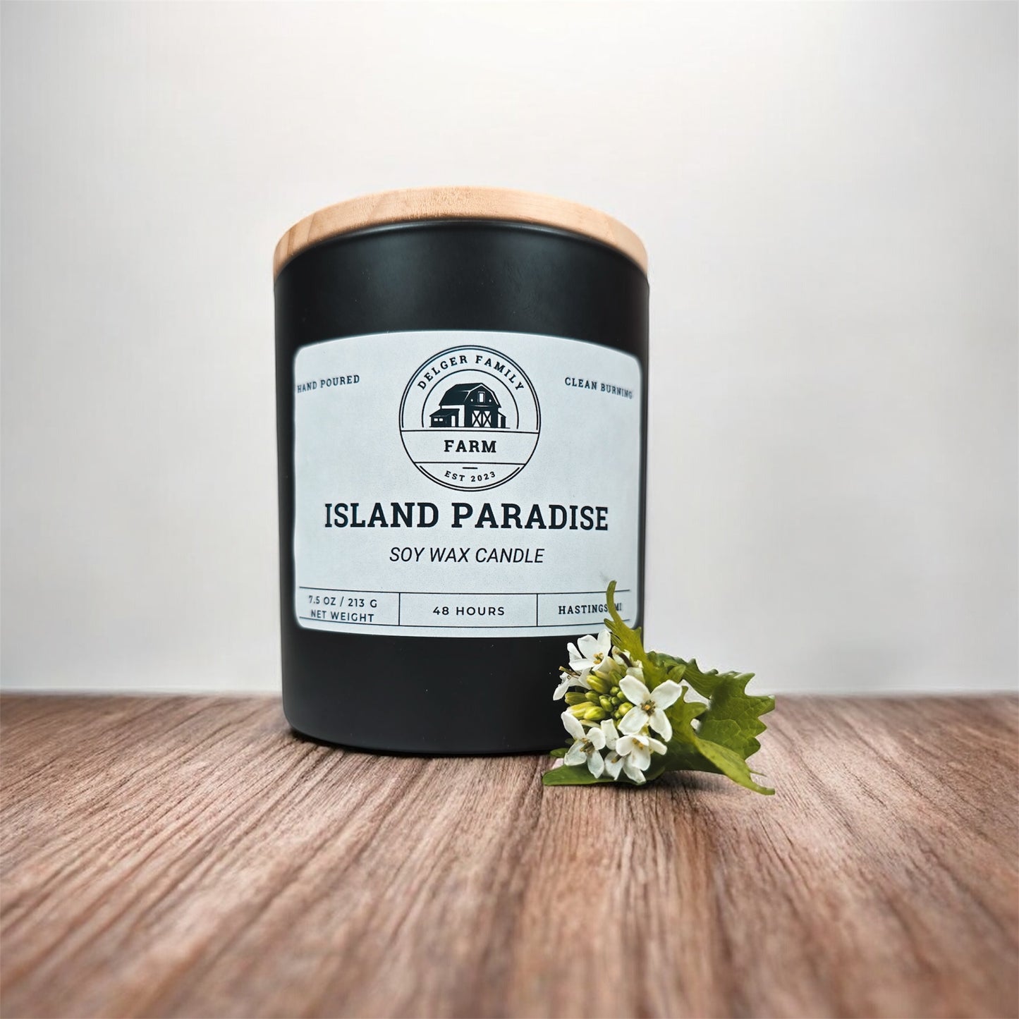 Island Paradise | Small Batch Non-Toxic Soy Candle