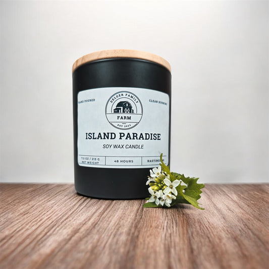Island Paradise | Small Batch Non-Toxic Soy Candle