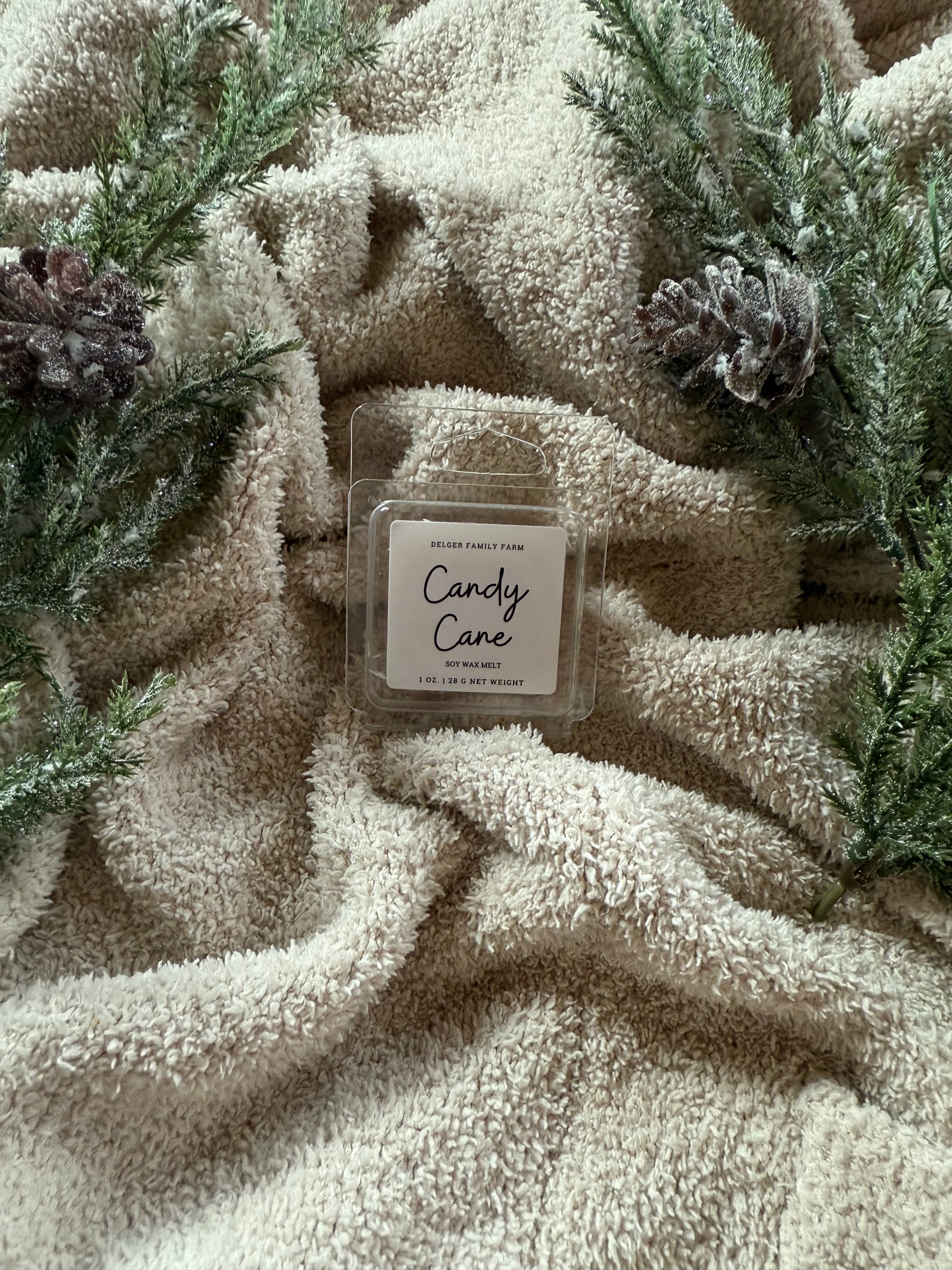 Candy Cane wax melt packaging on a textured beige surface with greenery
