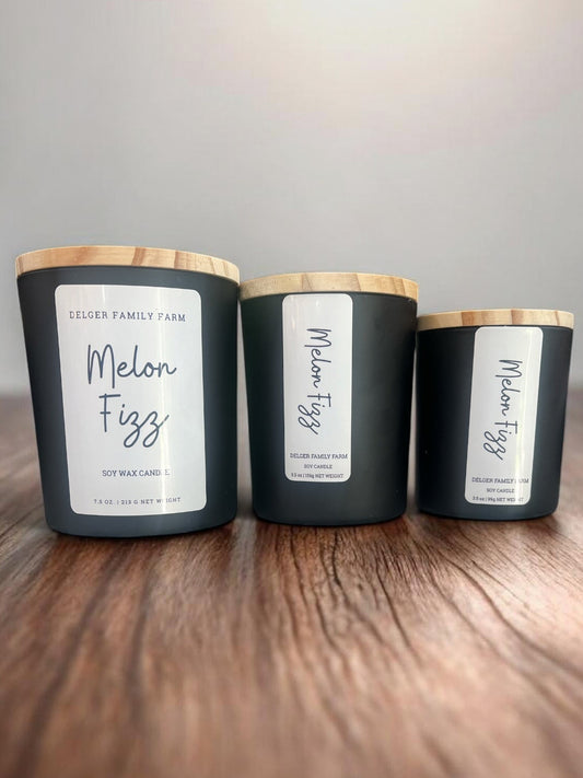 Melon Fizz Soy Candle | Clean Fragrance Farmhouse Candle
